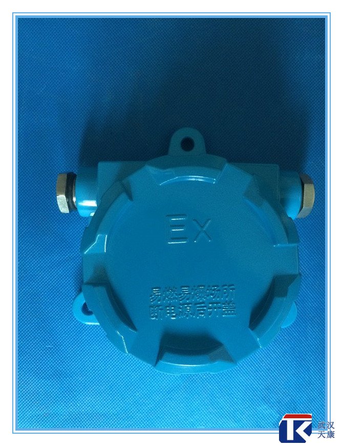 壁掛式防爆熱電阻/pt100、4-20mA輸出